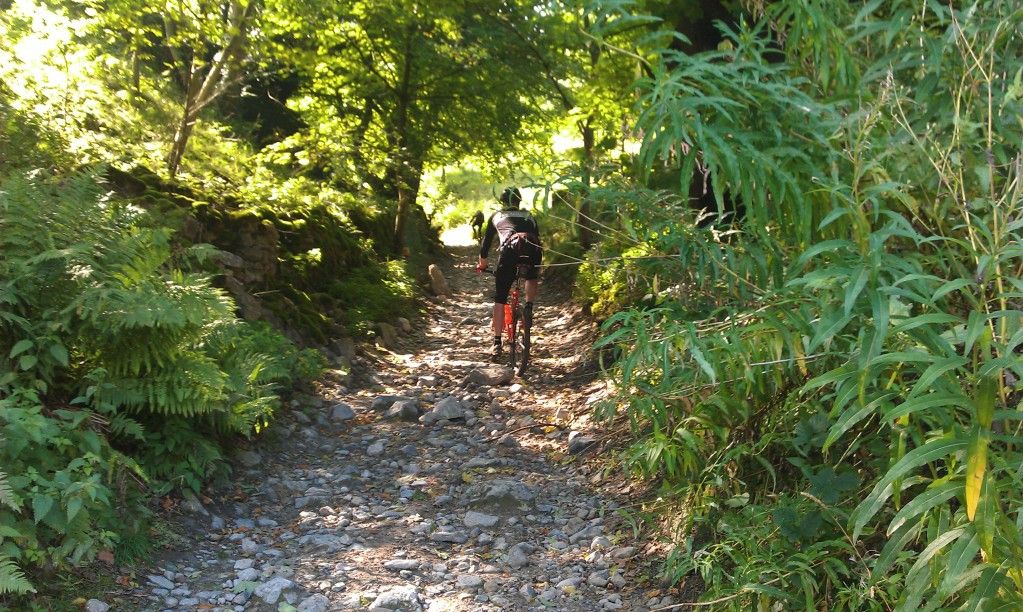 IMAG0258.jpg