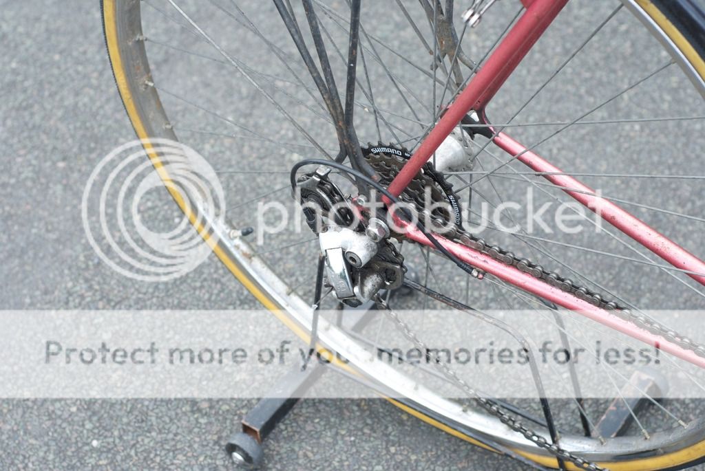 DSC_0384_zpsbsu6z4ti.jpg