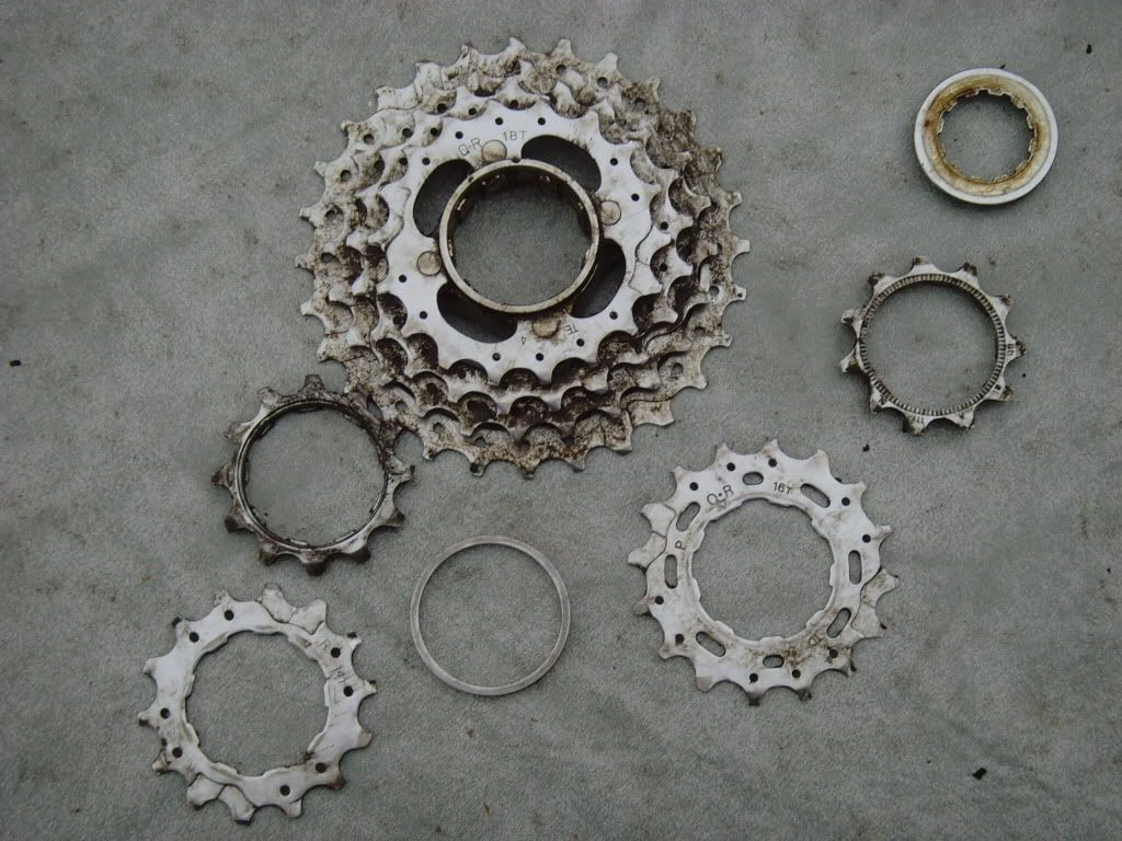 SNV35597.jpg