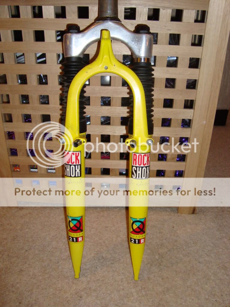 Ebaypictures276.jpg