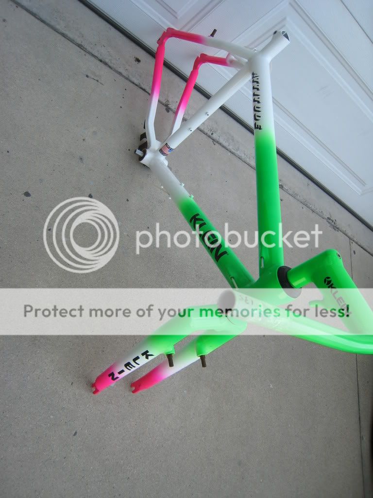 Picture033.jpg