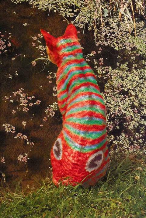 painted_cats_24.jpg