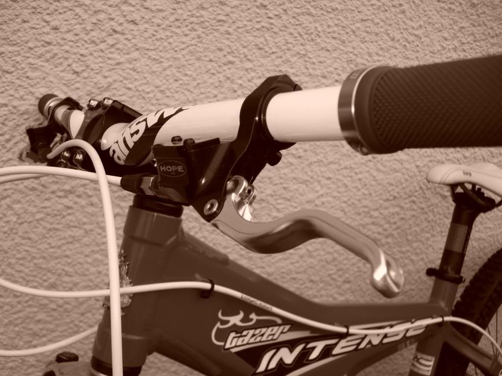 DSC04331_zpsc60eff10.jpg