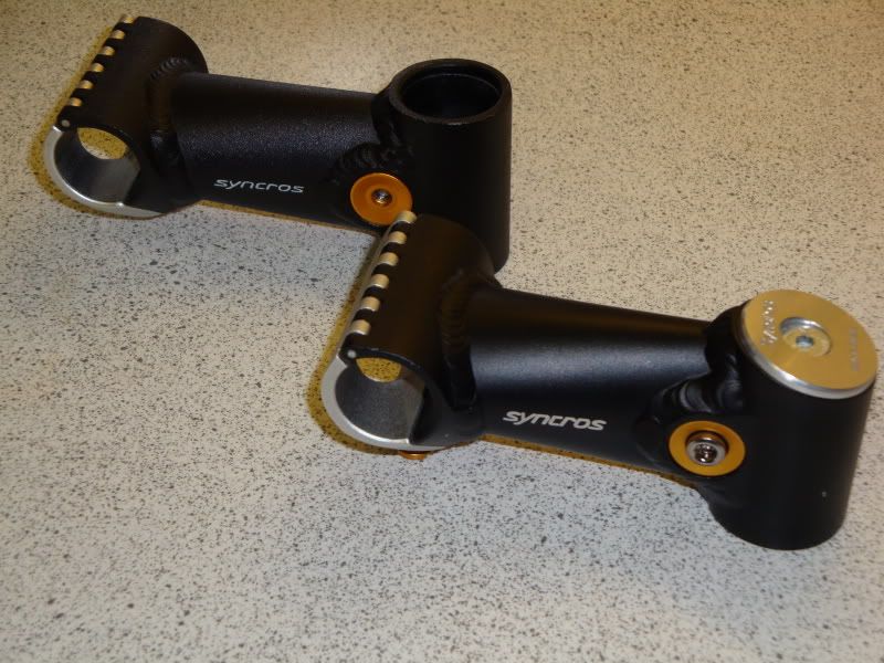 Stems005.jpg
