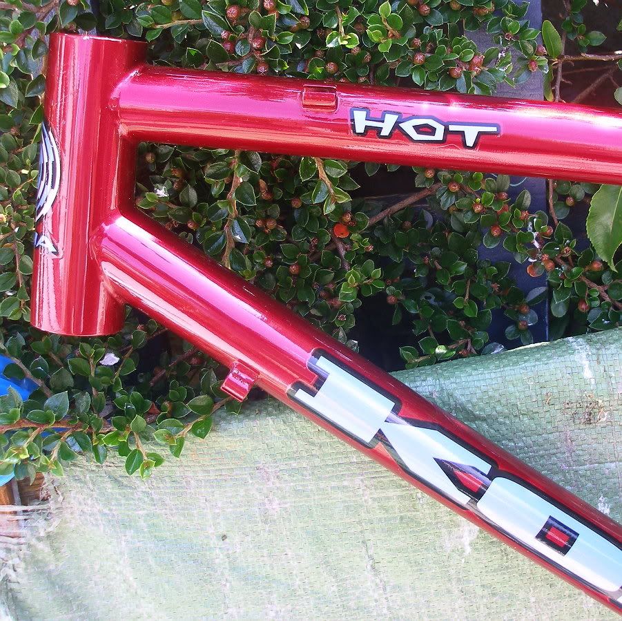 hott3.jpg