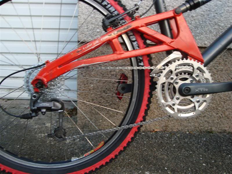 marin003Medium.jpg