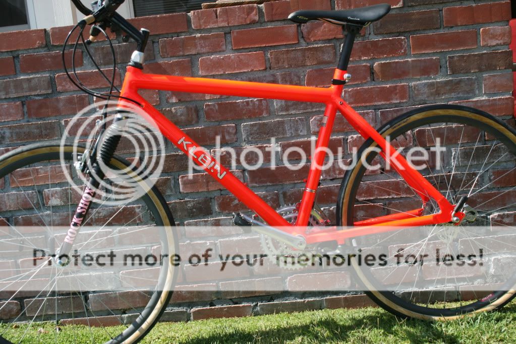 IMG_7034.jpg
