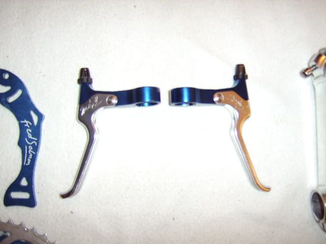 STA70285.jpg