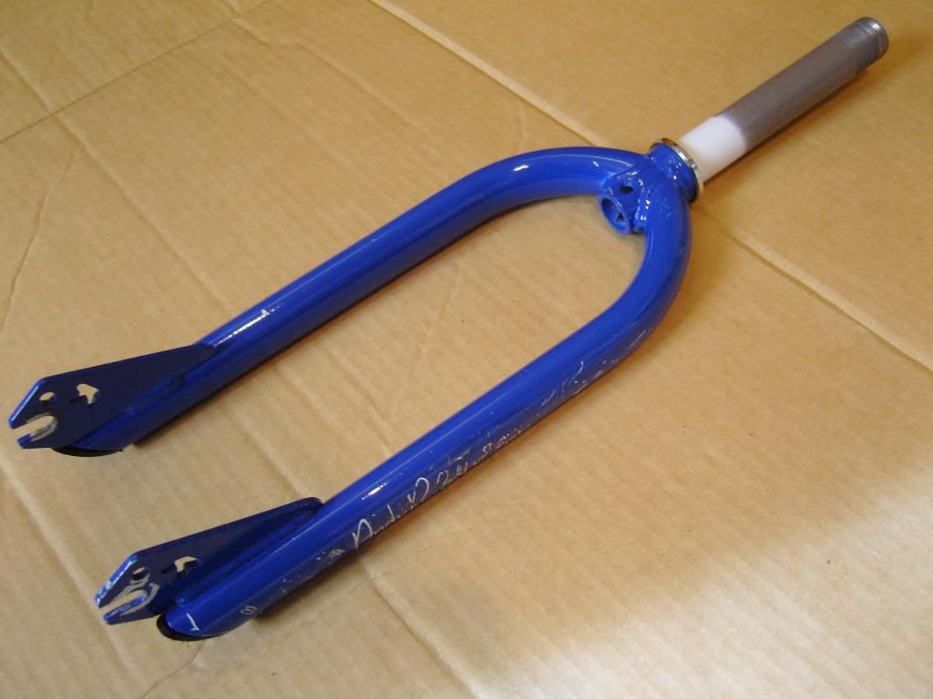 SNC14029.jpg