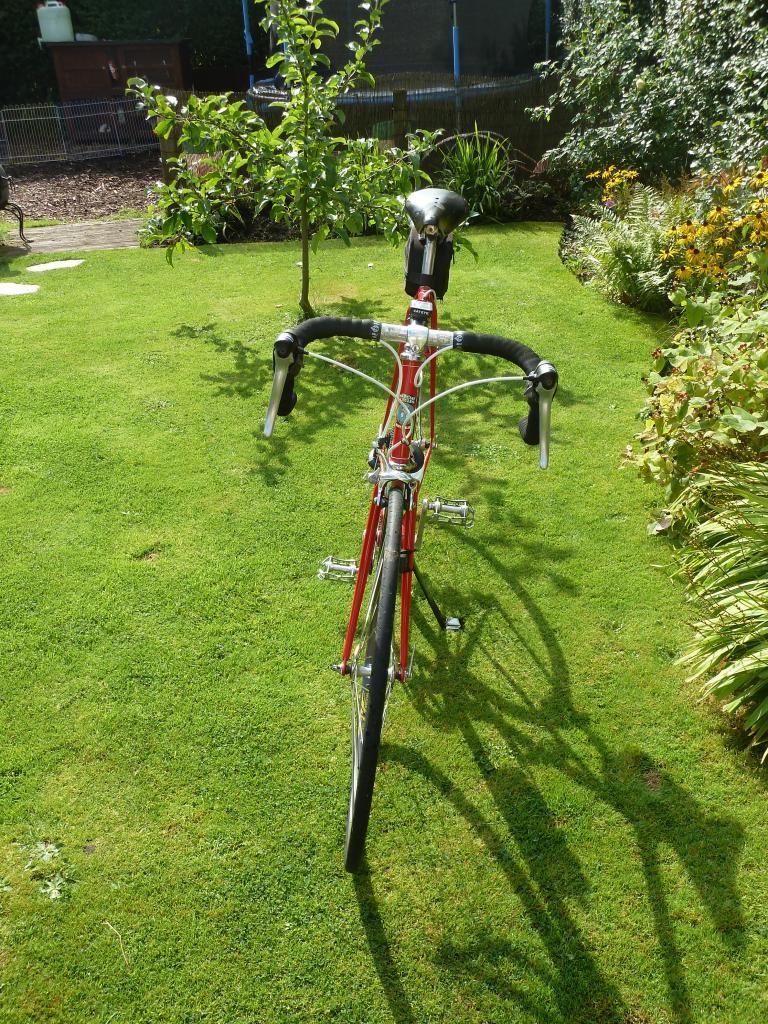 mercian031.jpg