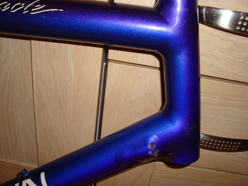 Adambike010-1.jpg