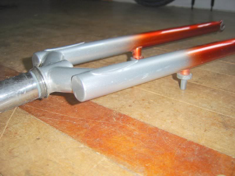 strutt20fork20014.jpg