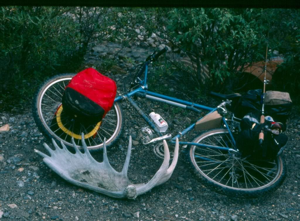 antlerbike.jpg