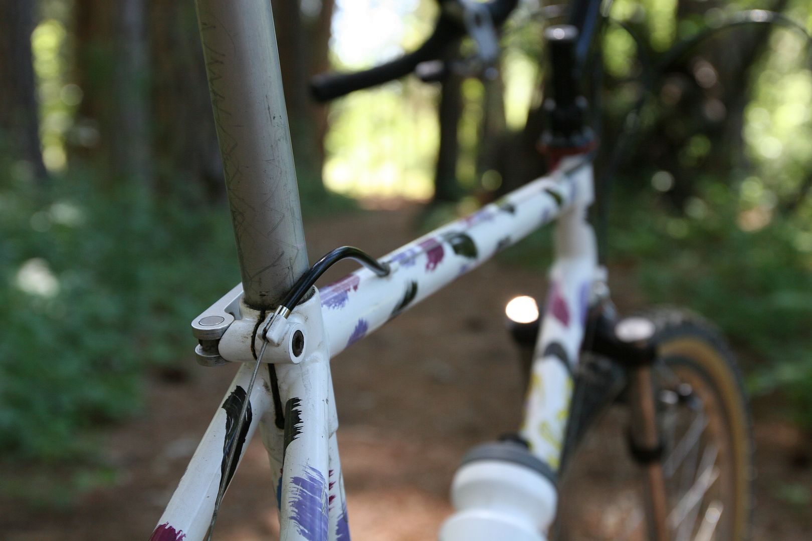 litton-loop-salsa065.jpg