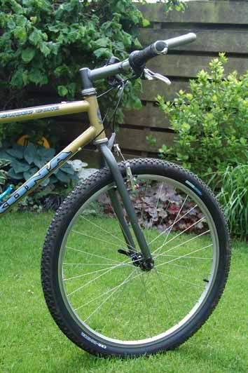 1996CinderCone544.jpg
