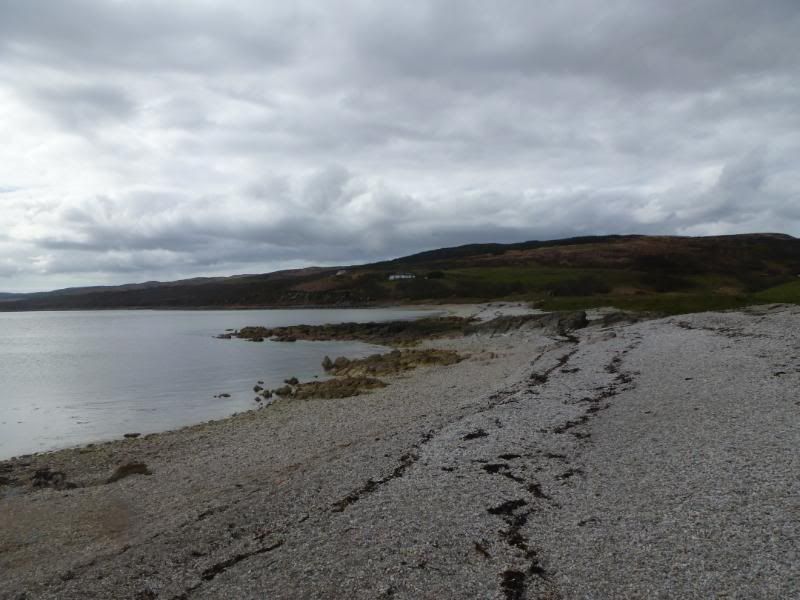 P1000794.jpg