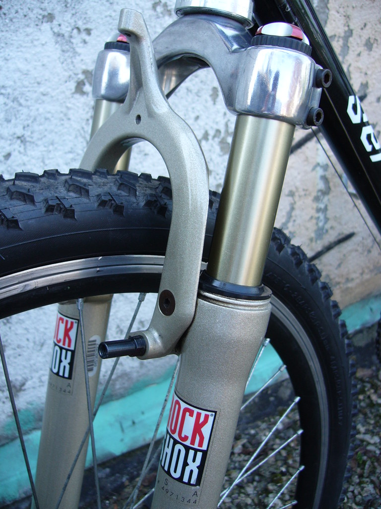 474019912_a331e95851_b.jpg