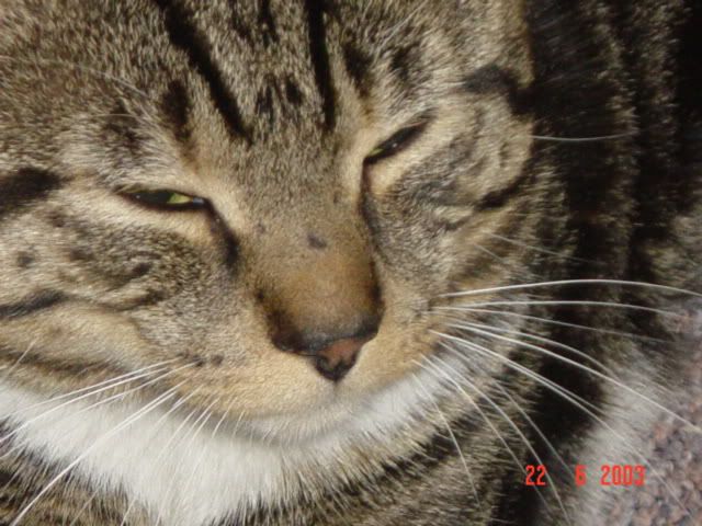Picture017.jpg