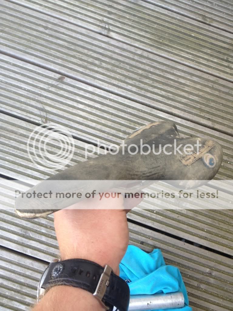 IMG_3183_zps3e00f843.jpg