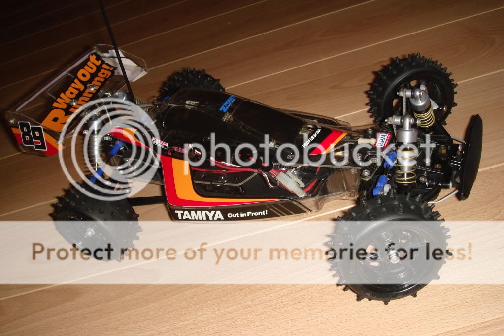 DSC07797.jpg