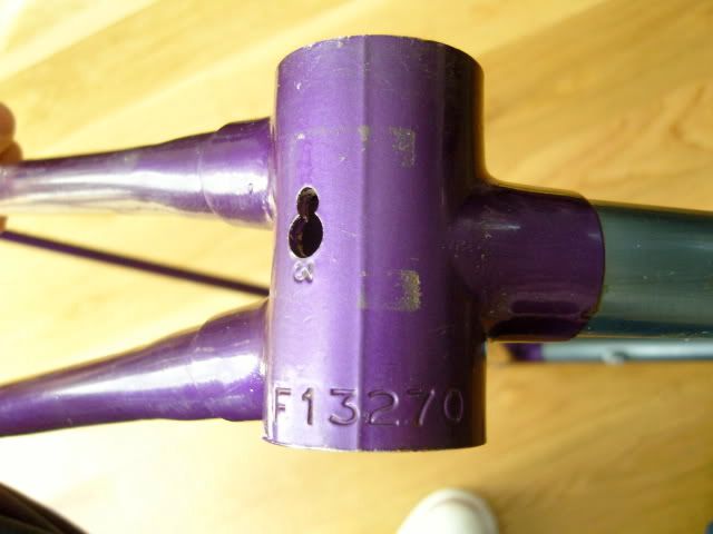 SNC15339.jpg