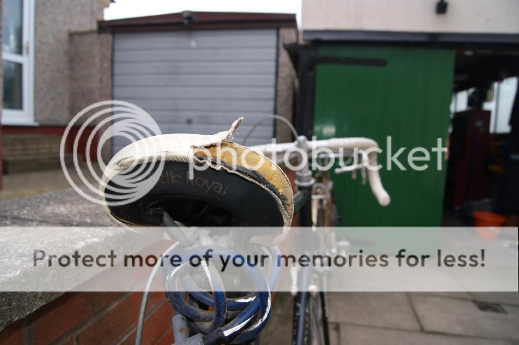 DSC02791_zps72eb4cb5.jpg