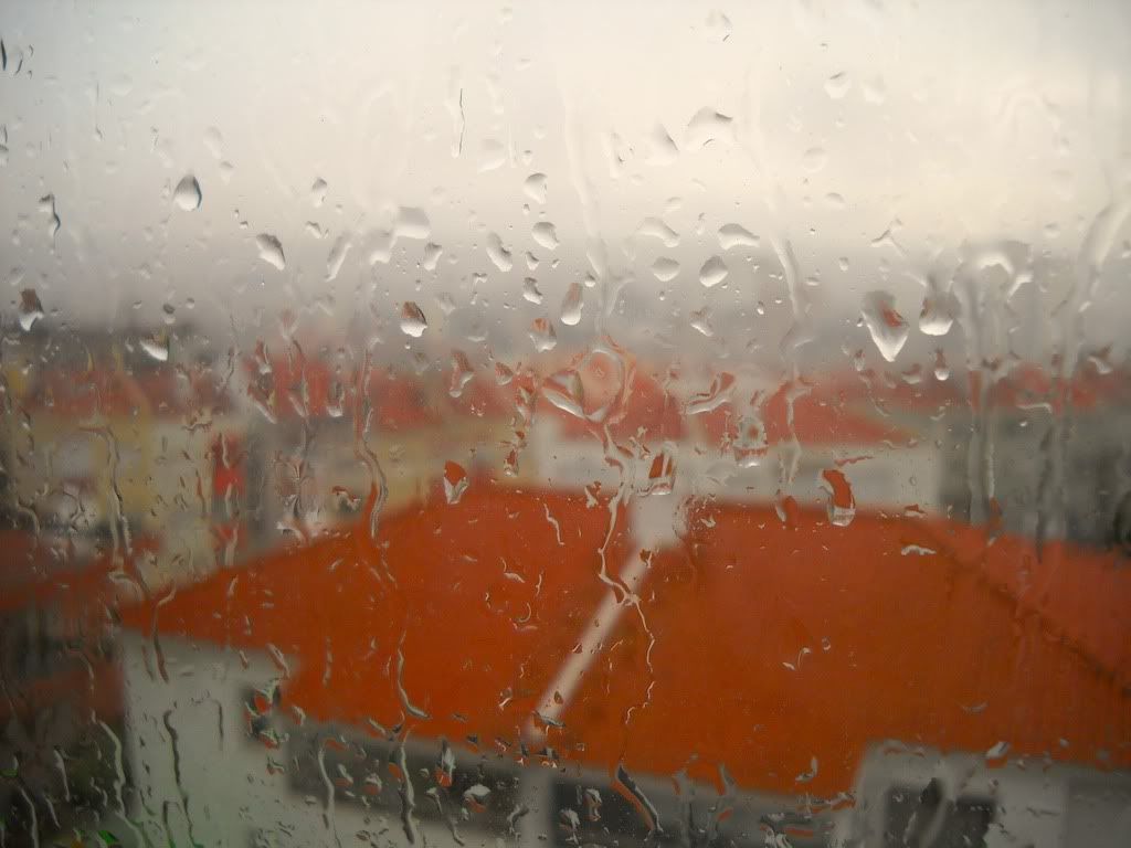 chuva22-12-2010.jpg