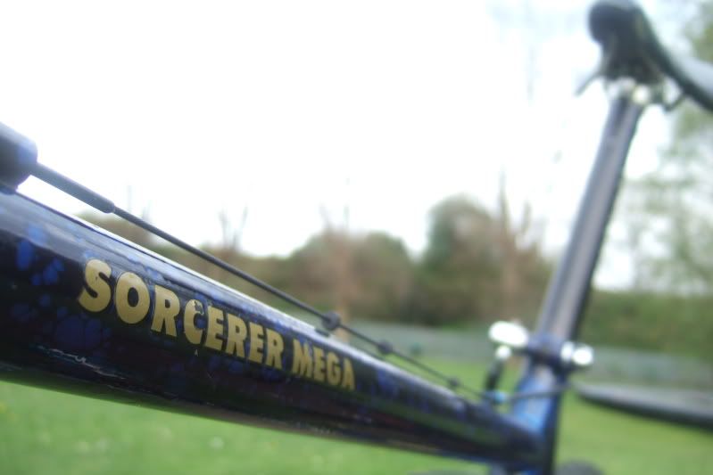 bikefox2009009.jpg