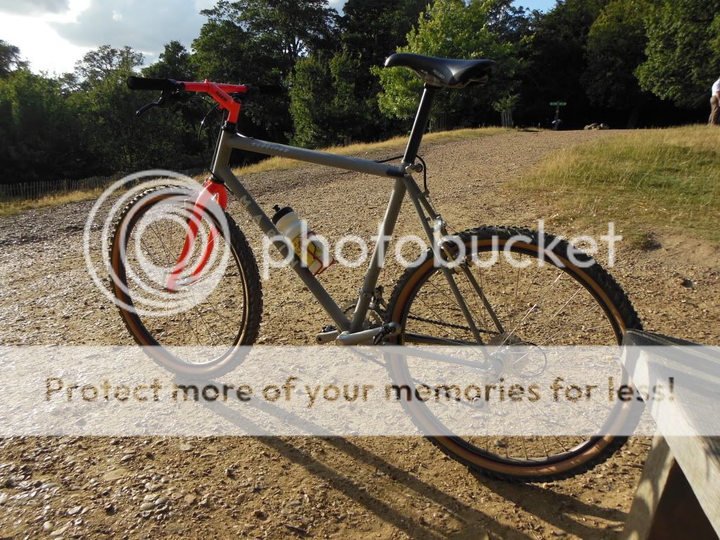 DSCN2490.jpg
