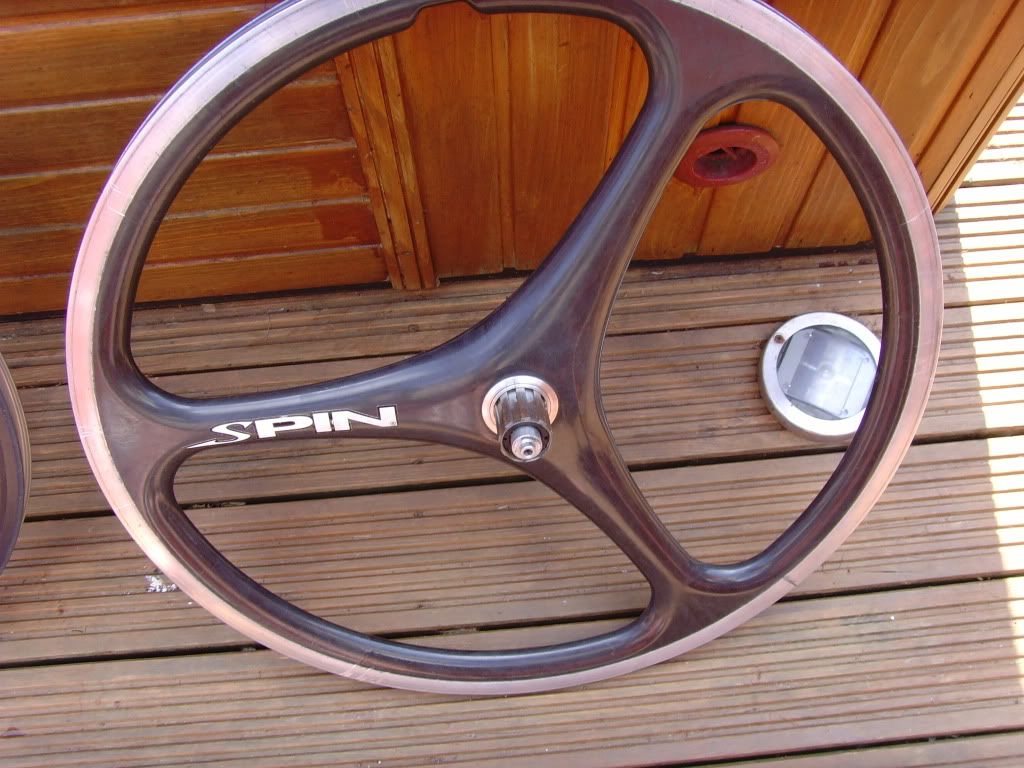 SNV35206.jpg