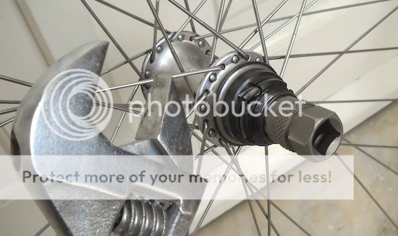 Backwheel04.jpg