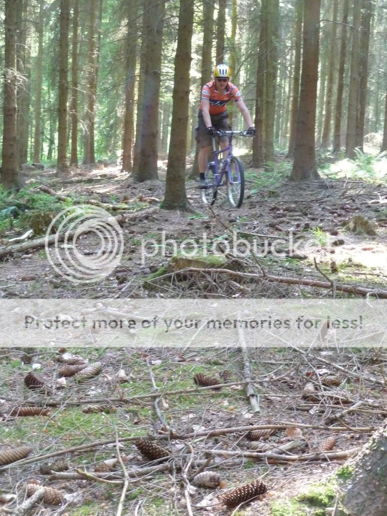webP1020608.jpg