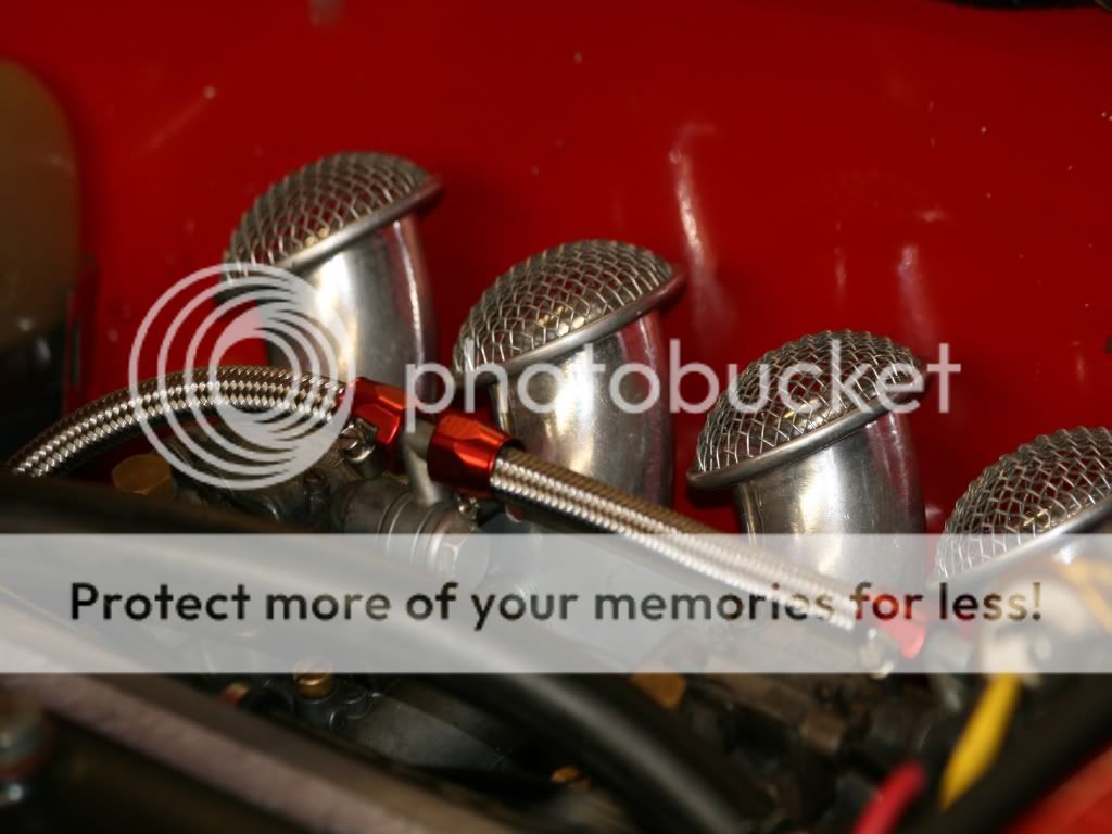ALFA4.jpg