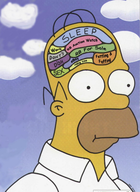 Homer_RetroBike_Brain.jpg