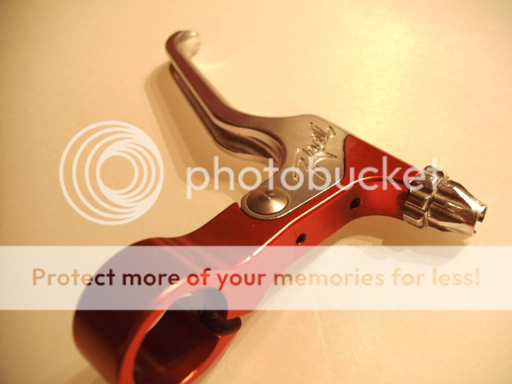 PICT0028.jpg