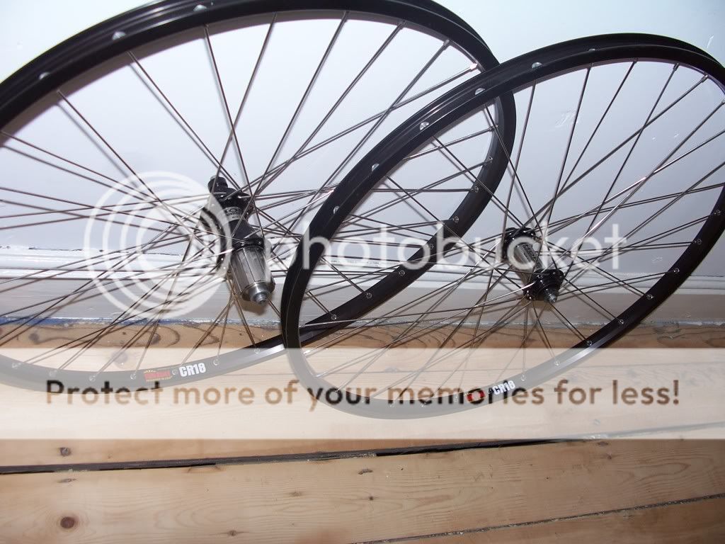 100_4350.jpg