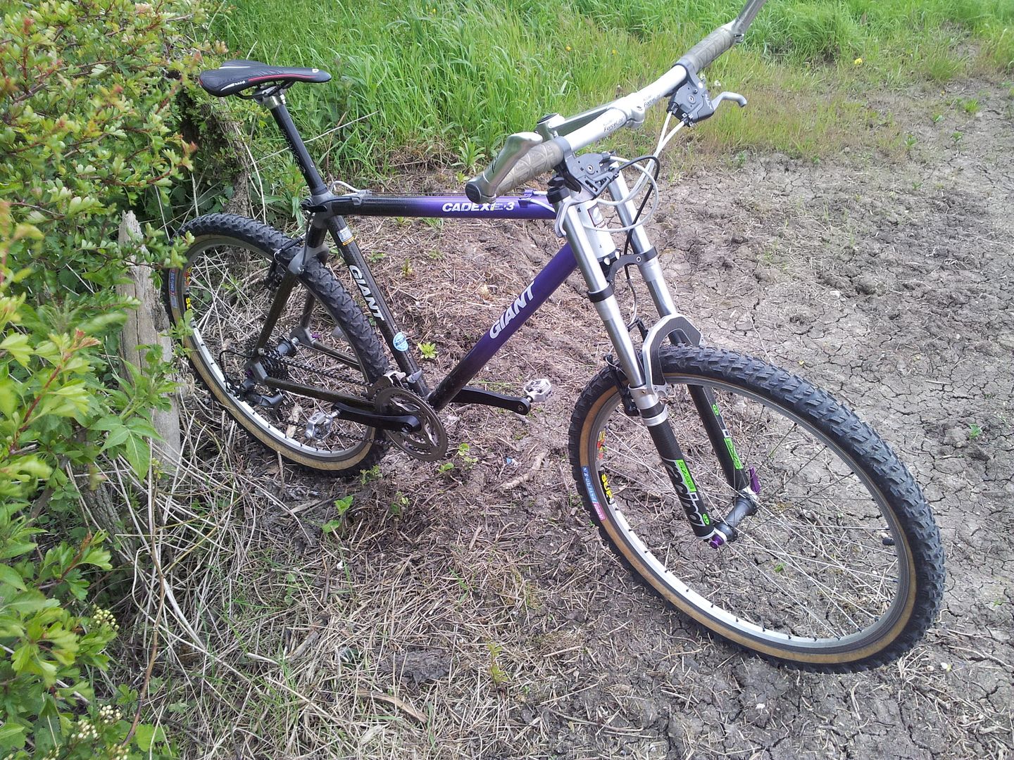 20120507_181002.jpg