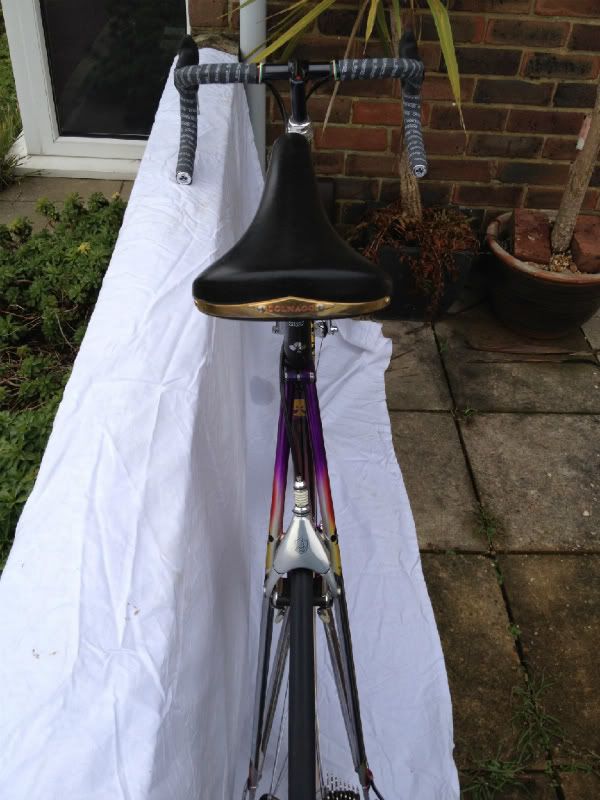 mycolnago013.jpg