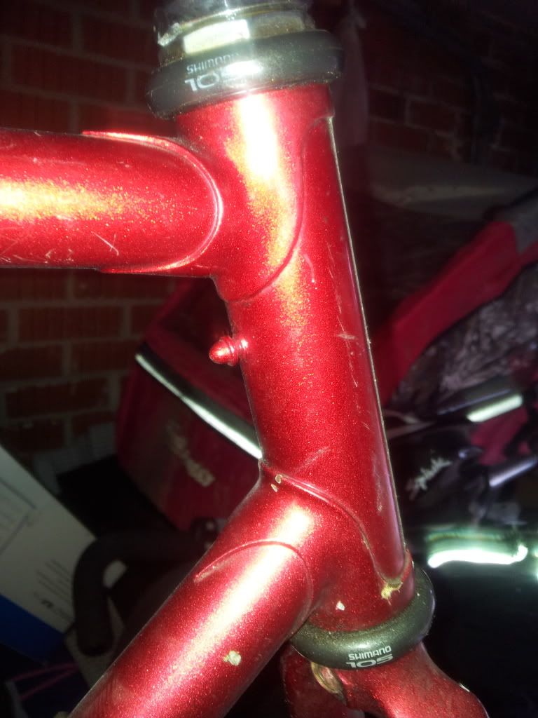 2012-04-09081451.jpg