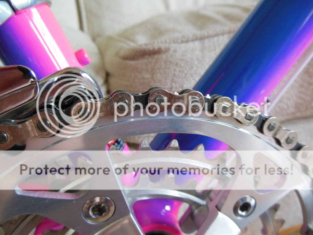 DSCN2591.jpg