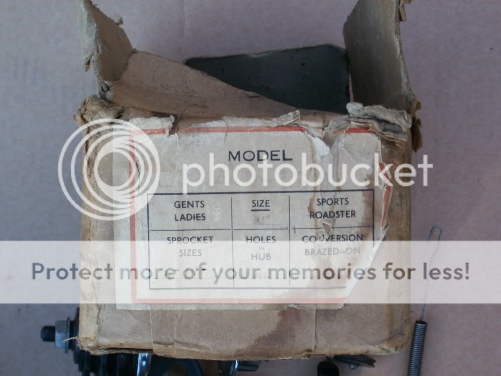 PA290984.jpg