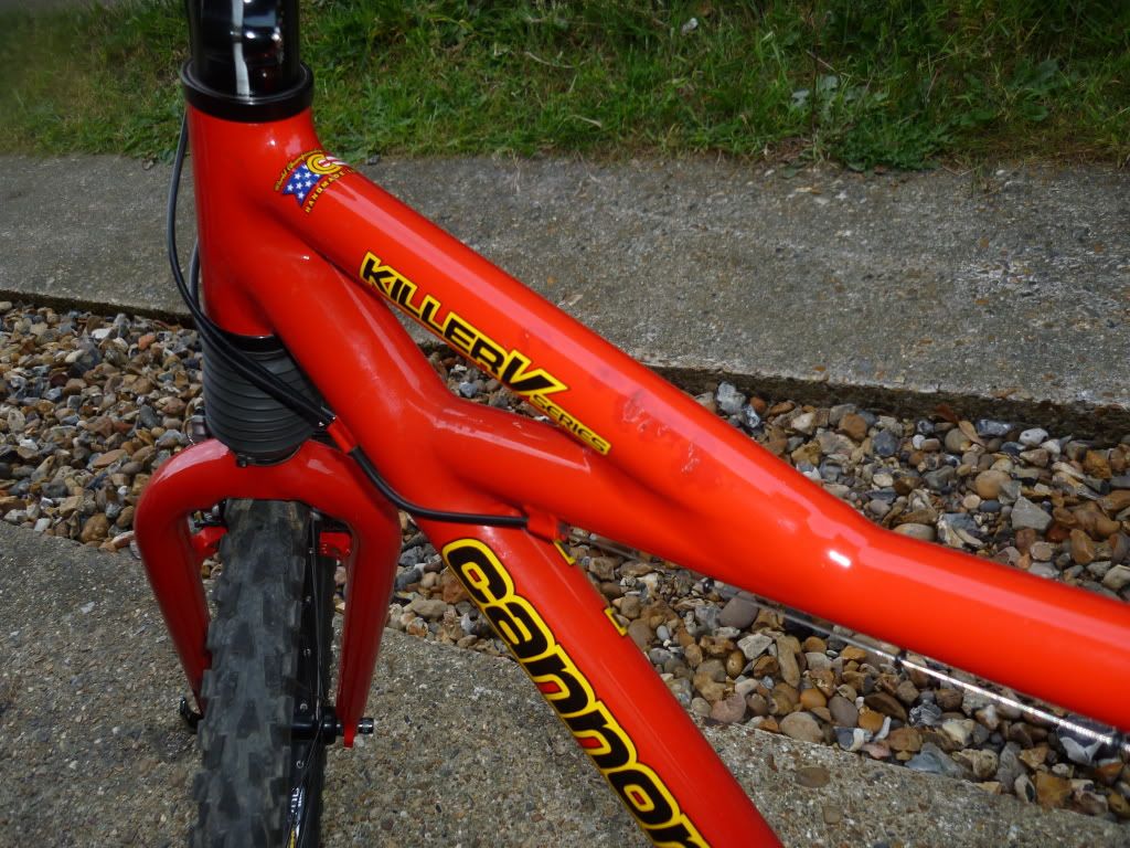 BikeJune20115.jpg