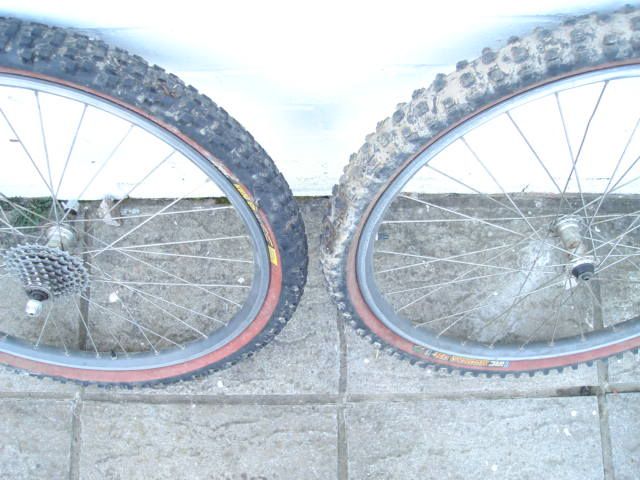 110309134.jpg