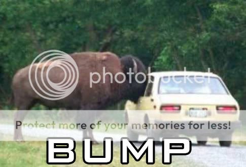 fc100156_bump3.jpg