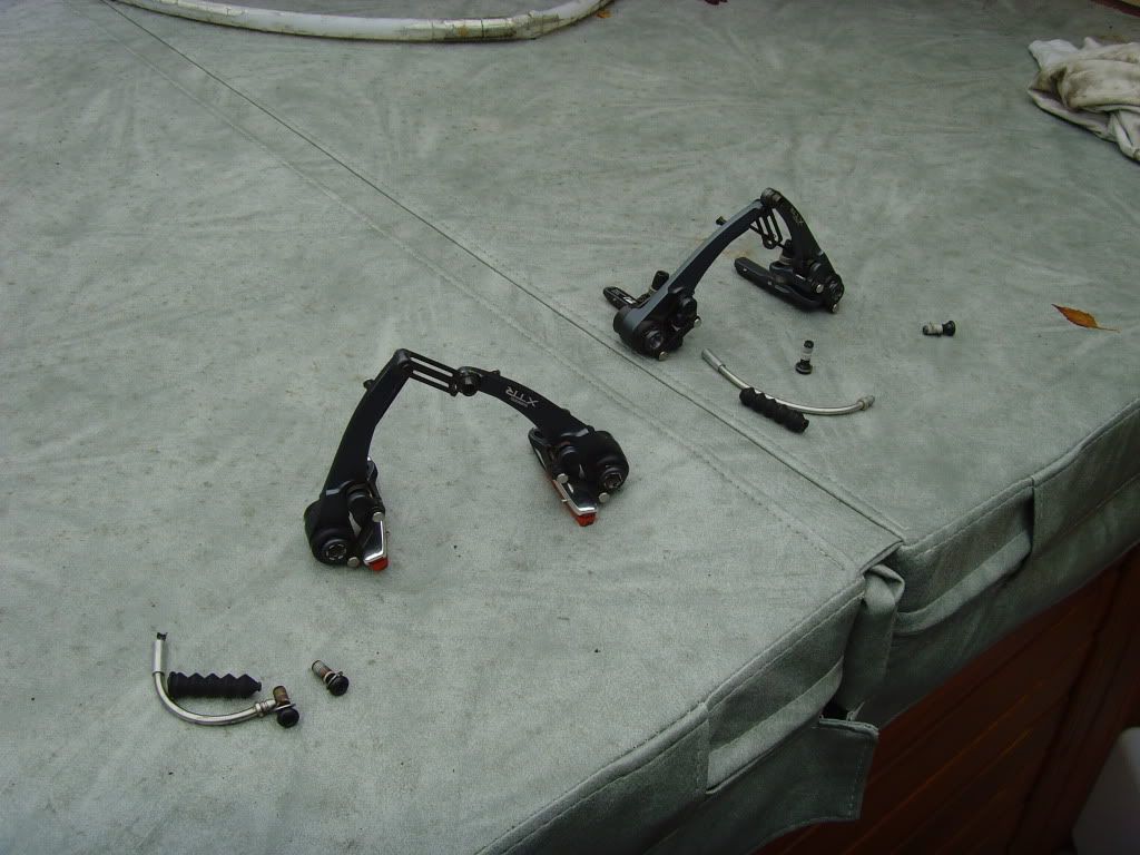 SNV36252.jpg