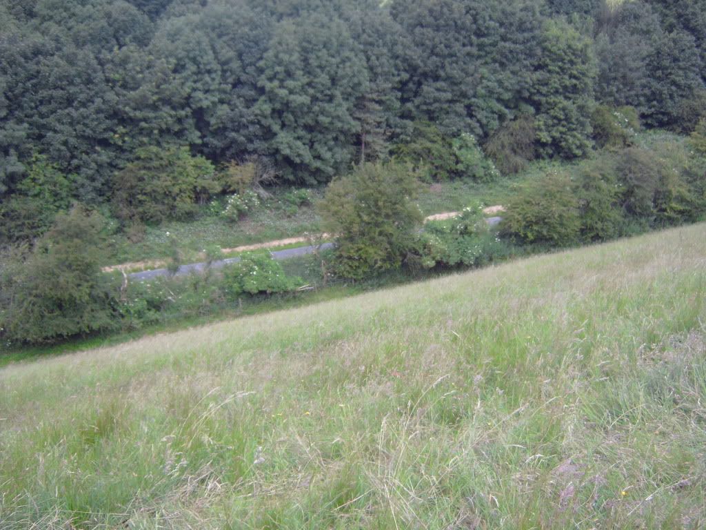 IMG00422.jpg