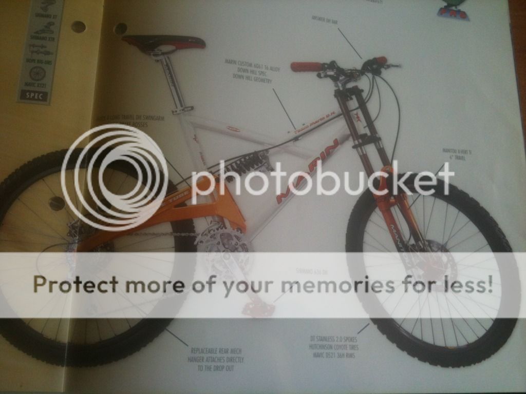 photo1.jpg