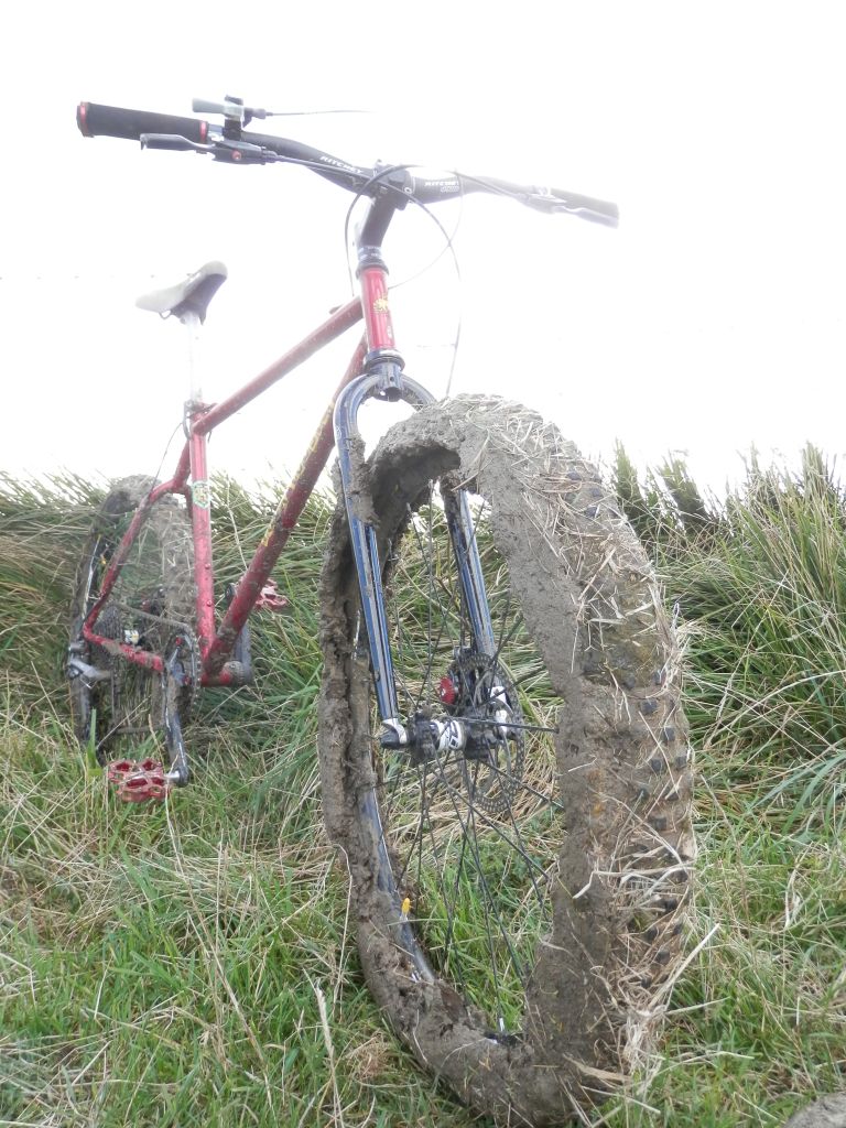 PA150857.jpg