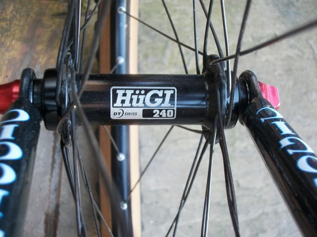 IMGP3124.jpg