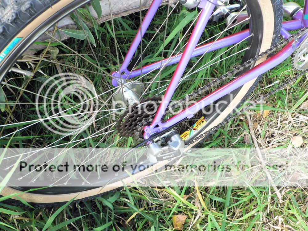 ibis1988cano52103.jpg